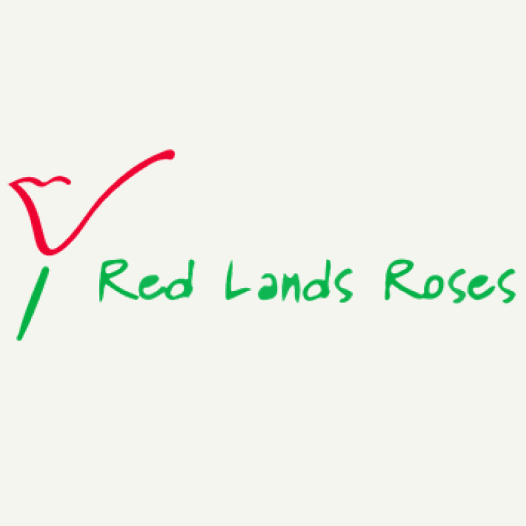 Red Lands Roses